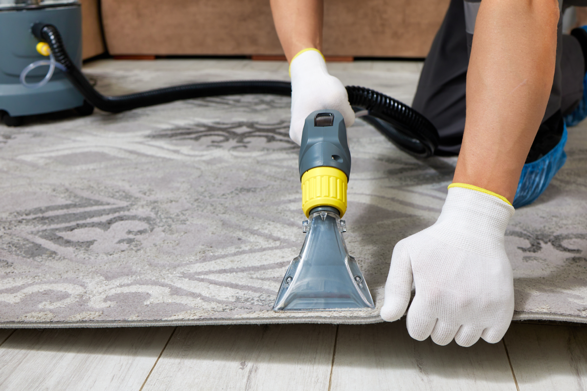 Kompetente Reinigungskraft reinigt stark verschmutzten Teppich mit einem professionellen Vakuumreiniger.
